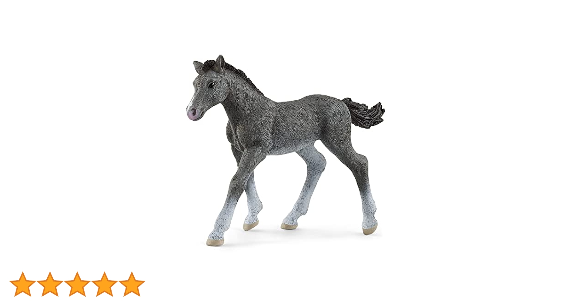 シュライヒ ホースクラブ トラケナー馬 (仔) フィギュア 13758 Amazon.co.jp: シュライヒ ホースクラブ トラケナー馬 (仔